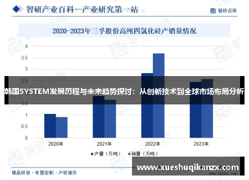 韩国SYSTEM发展历程与未来趋势探讨：从创新技术到全球市场布局分析